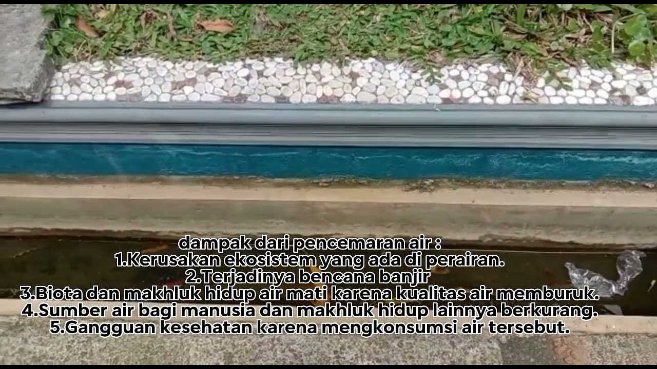 Macam-macam Pencemaran Lingkungan - YouTube