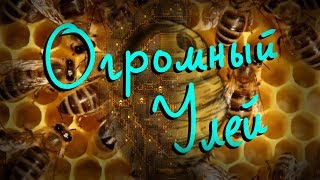 Огромный улей в Terraria!