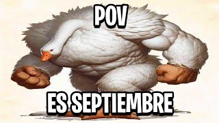 Shitposting Compilation V71