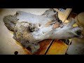 Driftwood Drama! - Wood Turning