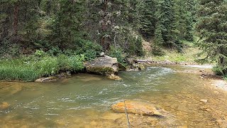 THIS ONE SIMPLE ADJUSTMENT might be the secret to catching more fish - A walk thru video!