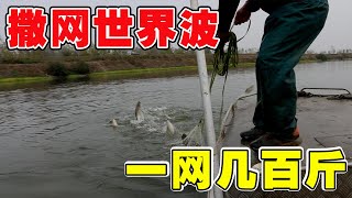 野河撒網遇到魚群，大哥一網世界波爆好幾百斤，船差點被壓沉了【農村漁夫黎明】