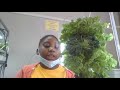 Hydroponics Science is Fun | NY Sun Works Youth Conference