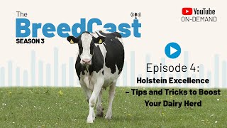 The BreedCast S3 E4: Holstein Excellence