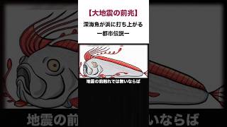 深海魚リュウグウノツカイが世界中で浜に上がる！その原因とは？#深海魚 #海 #雑学 #地震 #災害