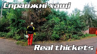 Розчистка ділянки Site clearing