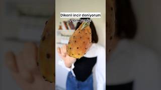 neymiş bu dikenli incir?