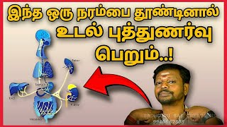 Health Care | இந்த ஒரு நரம்பை தூண்டினால் போதும் முழு உடலும் புத்துணர்வு பெறும்@Sadhgurusaicreations