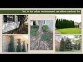 Selecting, Planting, and Establishing New Trees