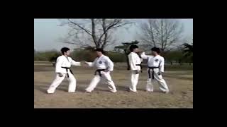 Hapkido Grandmaster Myung Jae Ok --- Hoi Jeon Moo Sool