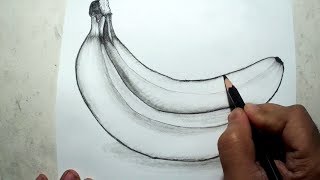 How to Draw Bananas || Pencil Drawing and Shading
