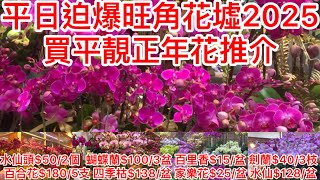 平日迫爆旺角花墟2025｜買平靚正年花推介｜水仙頭$50/2個  蝴蝶蘭$100/3盆 百里香$15/盆 劍蘭$40/3枝 百合花$180/5支 四季枯$138/盆 家樂花$25/盆 水仙$128/盆