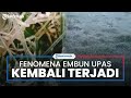 Fenomena Embun Upas Kembali Terjadi di Dieng, Suhu di Wilayah Ini Capai Minus 1 Derajat Celsius