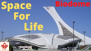 Biodome Montreal|5 Ecosystems Under One Roof|Biodôme | Space for life|Biodome 2021|