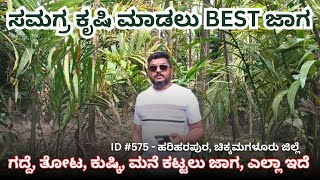 ID #575 - ಹರಿಹರಪುರ / ಸಮಗ್ರ ಕೃಷಿ #farming #agriculture #arecanut