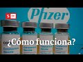 Coronavirus: el abecé de la vacuna de Pfizer | Semana Noticias