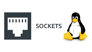 TCP Sockets example on Linux