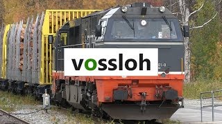 Timmertåg Hector Rail 941 001-0, Vossloh  G 2000 B diesellok  i Lycksele.