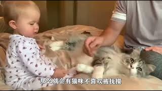 狮妈妈带小狮子过河，怎料小狮子被河水冲走，母狮做法让人深思！