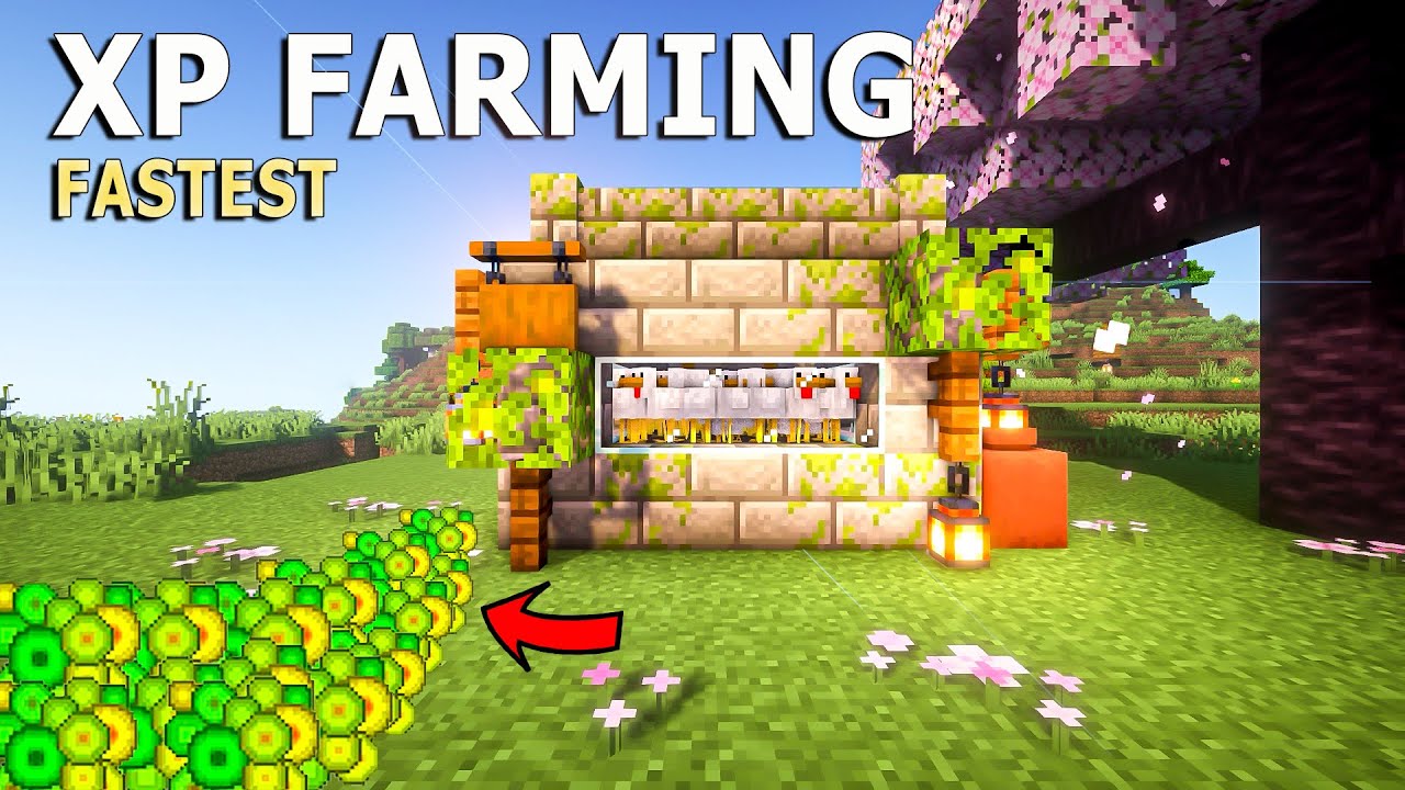 Minecraft Easy Chicken Xp Farm In 1 21 Survival Tutorial Youtube