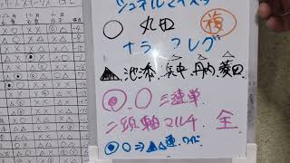 2022年10月2日中山11レース  スプリンターズステークス  騎手 調教師 運勢予想