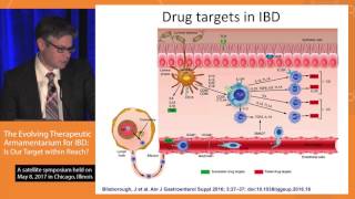 Deciphering the Signaling Mechanisms Involved in the Future Therapeutic Management of IBD