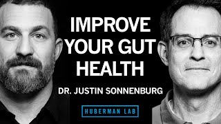 Dr. Justin Sonnenburg: How to Build, Maintain & Repair Gut Health | Huberman Lab