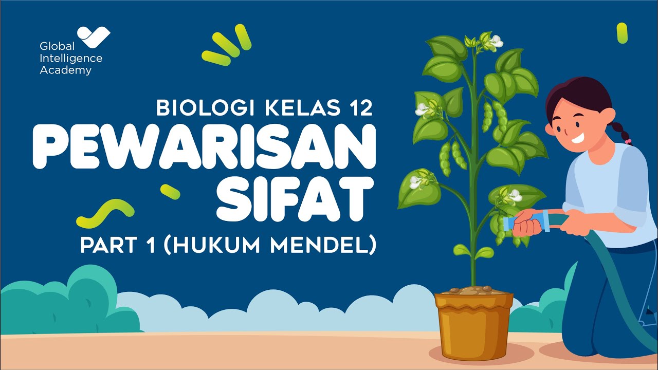 BIOLOGI SMA Kelas 12 - Pewarisan Sifat PART 1 (Hukum Mendel) | GIA ...