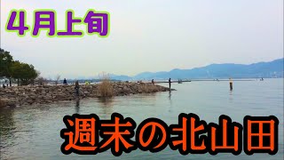 春の北山田を調査！いや釣り堀か！！