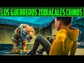 MIEDOSO JOVEN SERA ENTRENADO POR UN TRIGRE CHINO - EL APRENDIZ DE TIGRE - RESUMEN EN 10 MINUTOS