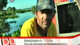 Pescadores capturan manguruyú de 70 kilos - 23/06/14