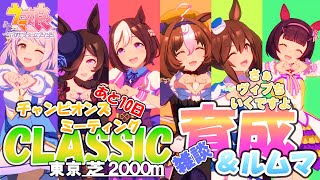 【ウマ娘】推し3編成で挑むチャンミCLASSIC🐎育成＆ルムマ🐎ヴィブち育成 さぁヴィブち育成いこか～？ホントにそろそろメンバー決めないと…【2024 10月チャンピオンズミーティング】