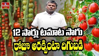 12 సార్లు టమాట సాగు రోజూ అరక్వింటా దిగుబడి | Vegetable Cultivation | Vegetable Farming | hmtv Agri