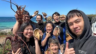 澳洲趕海抓鮑魚  Australia abalone diving