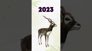 2023 Blackbuck vs 5000 bce Blackbuck