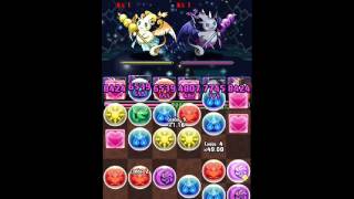 【パズドラ】集結！レア進化ラッシュ！！高速周回 五右衛門PT