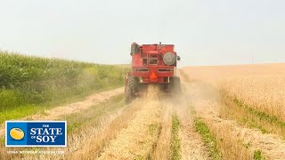 Relay Cropping Diversifies Conservation Efforts