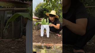 Potty Prank with Stupid Farmer 🤠🌱🥸 #farmer #prank #shortsvideo