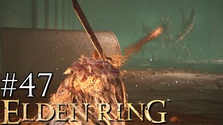 恐怖！王都下水道！！　結局ザリガニが最凶ってそれいちばん言われてるから【ELDENRING】＃47