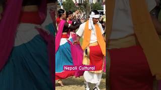 nepali cultural /short video