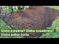 noo 125. gleba kwaśna gleba zasadowa gleba pełna życia