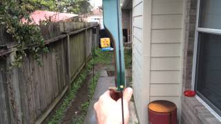 Traditional Archery aiming Techniques
