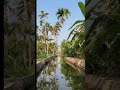 kerala alappuzha boat drive beautiful backwater view ❤️ ❤️ ❤️