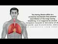 top 7 breathing reflexes of the human body