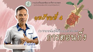 บทเรียนที่4