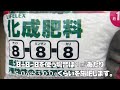 【有機】でも長くたくさん収穫できるナス栽培【農家の家庭菜園】【なす】【ナス育て方】