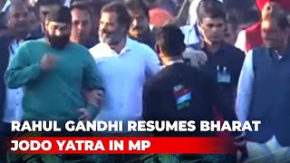 Rahul Gandhi Resumes Bharat Jodo Yatra In Madhya Pradesh