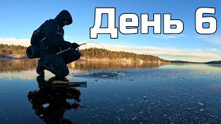 ПРИРОДА ПОЧИНАЄ БРАТИ ВЕРХ, Я ЩЕ ПРУЧАЮСЬ.