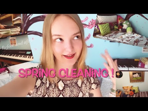Spring Cleaning Vlog рџњё Youtube