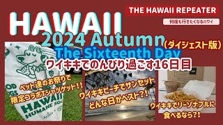 ＜The Sixteenth Da＞y 2024  Hawaii Autumn GoGirl in Hawaii